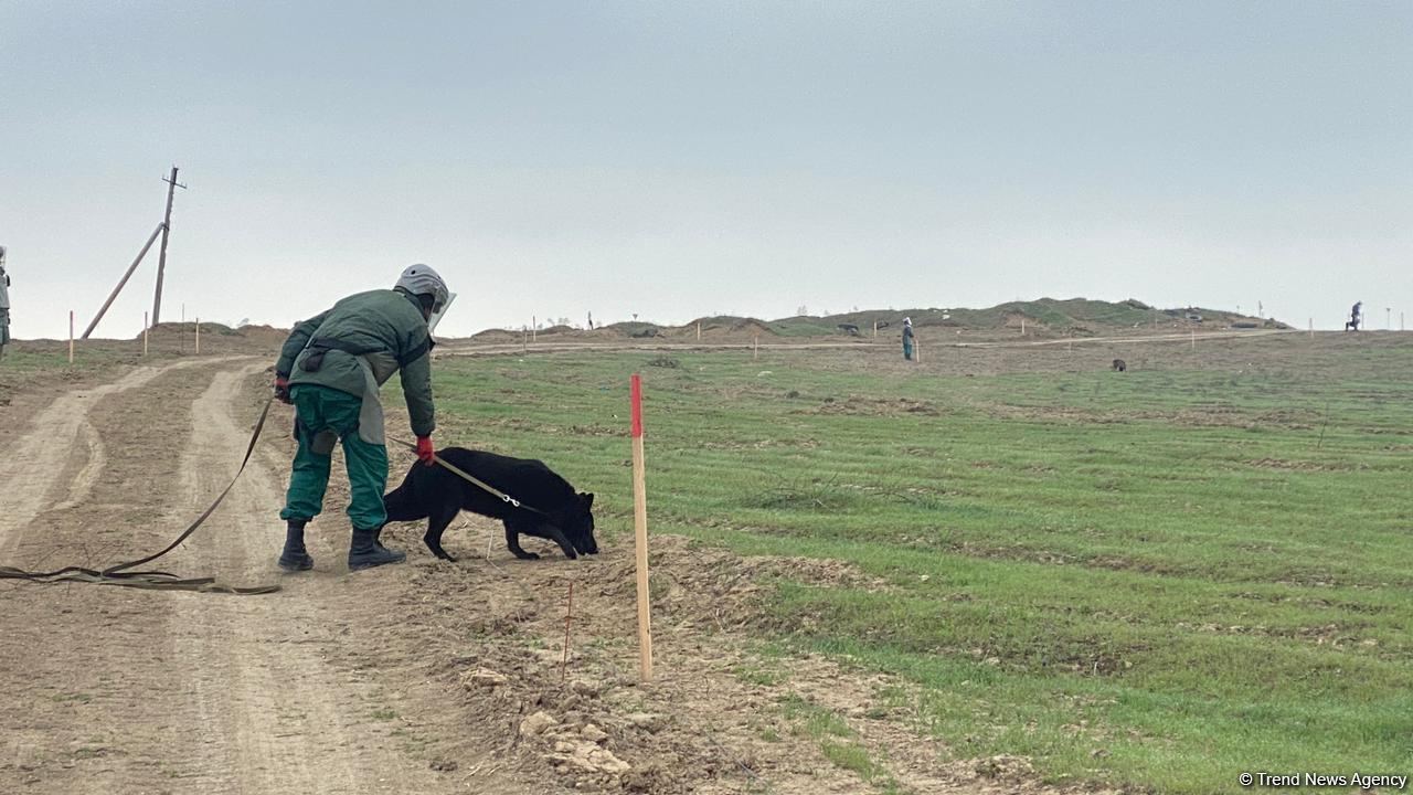 Azerbaijan reveals funds spent on de-mining activities in liberated lands