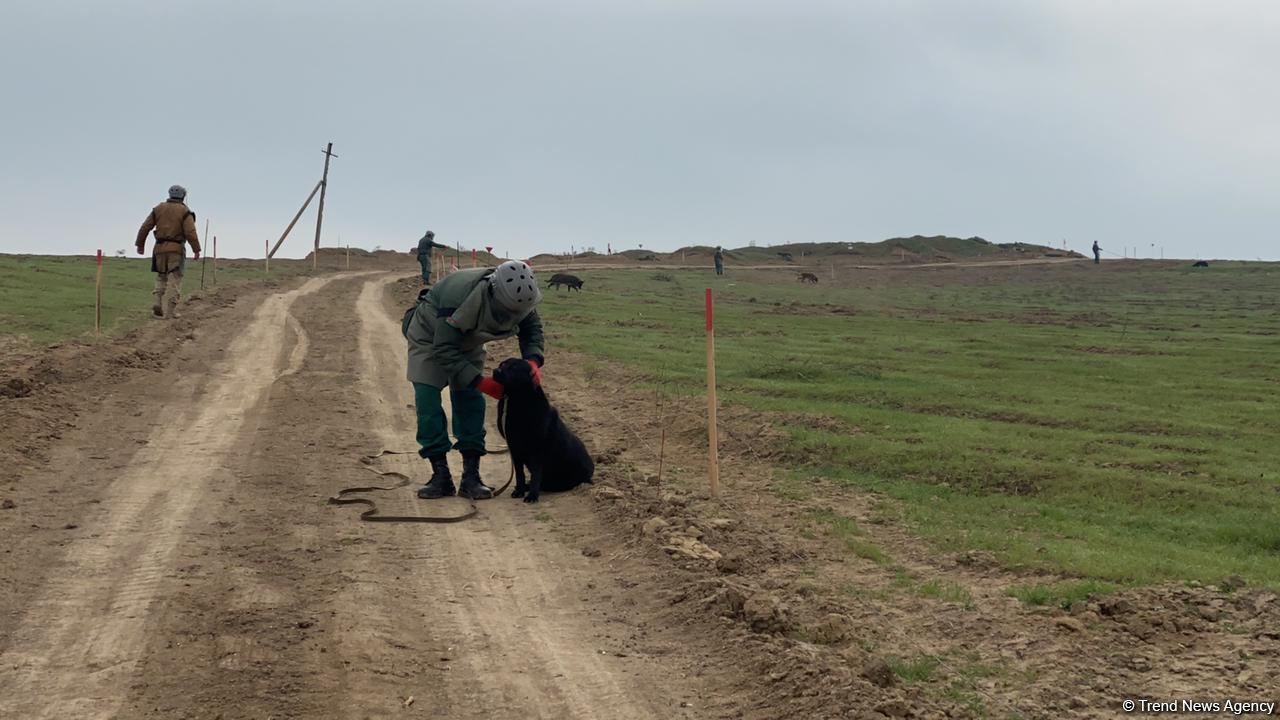 Azerbaijani agency talks demined section of Fuzuli-Shusha road (PHOTO)