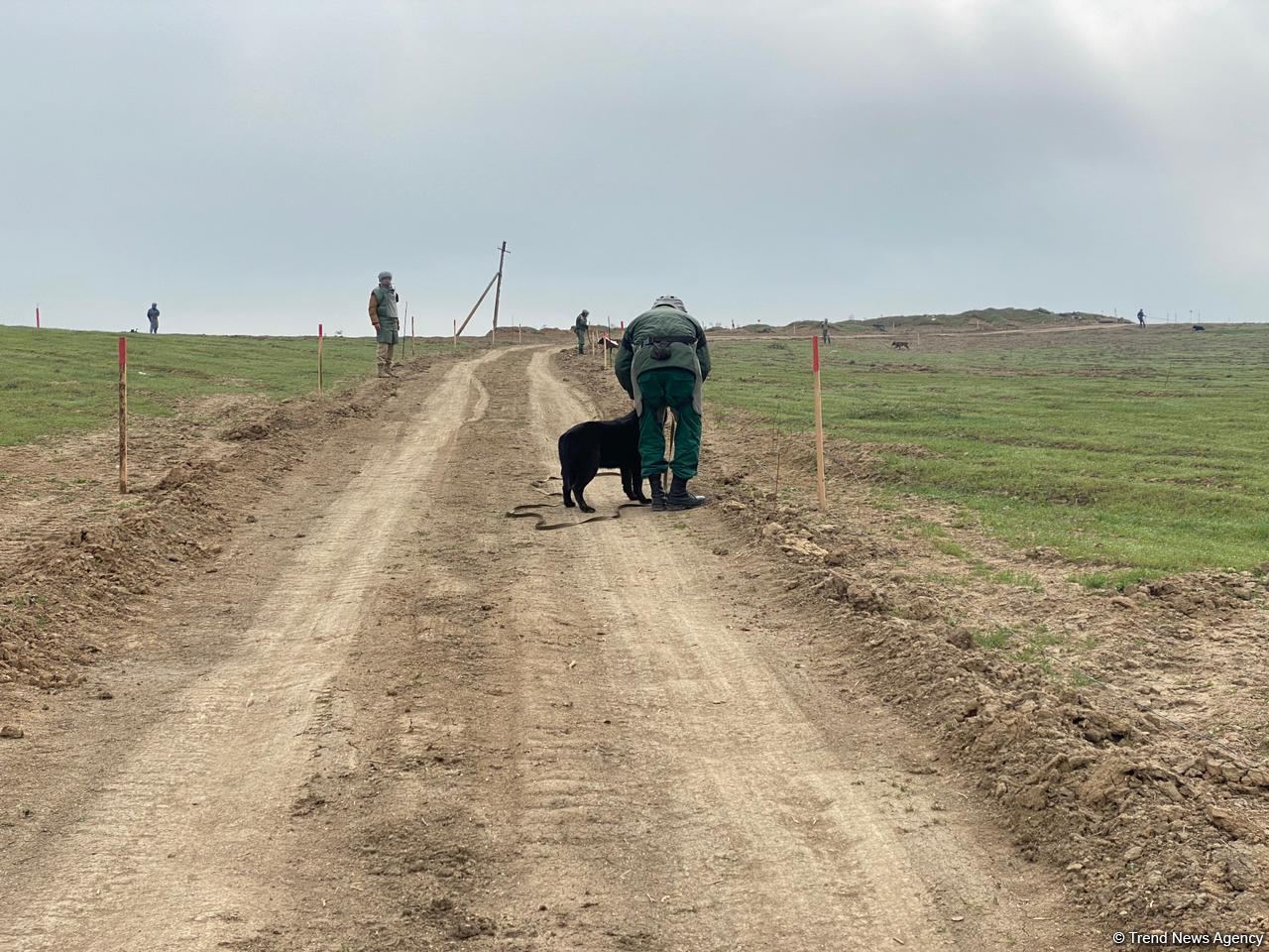 Azerbaijani agency talks demined section of Fuzuli-Shusha road (PHOTO)