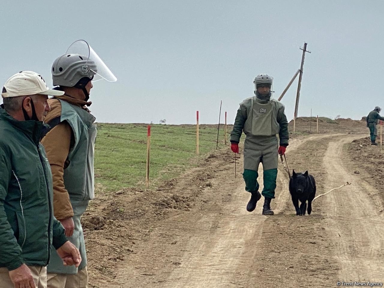Azerbaijani agency talks demined section of Fuzuli-Shusha road (PHOTO)
