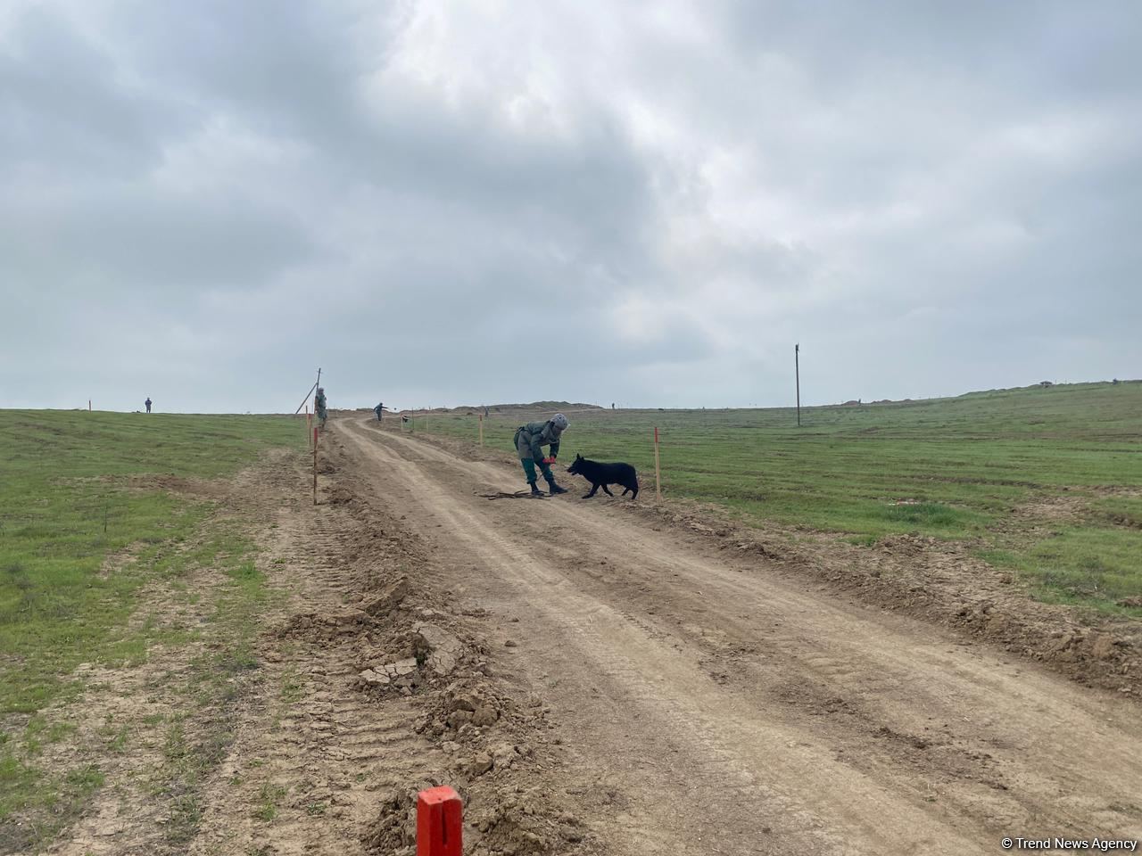Azerbaijani agency talks demined section of Fuzuli-Shusha road (PHOTO)