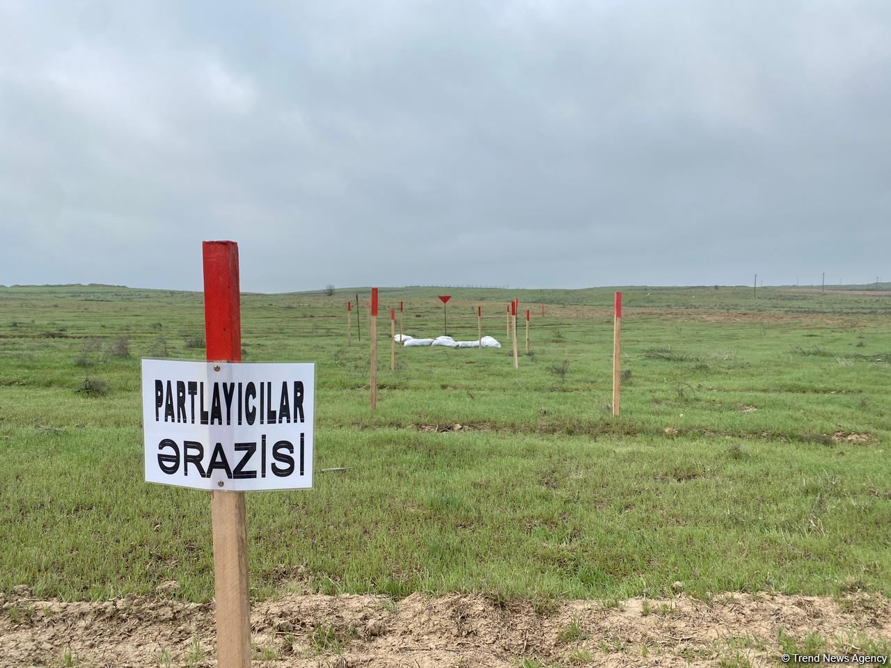 Azerbaijani agency talks demined section of Fuzuli-Shusha road (PHOTO)