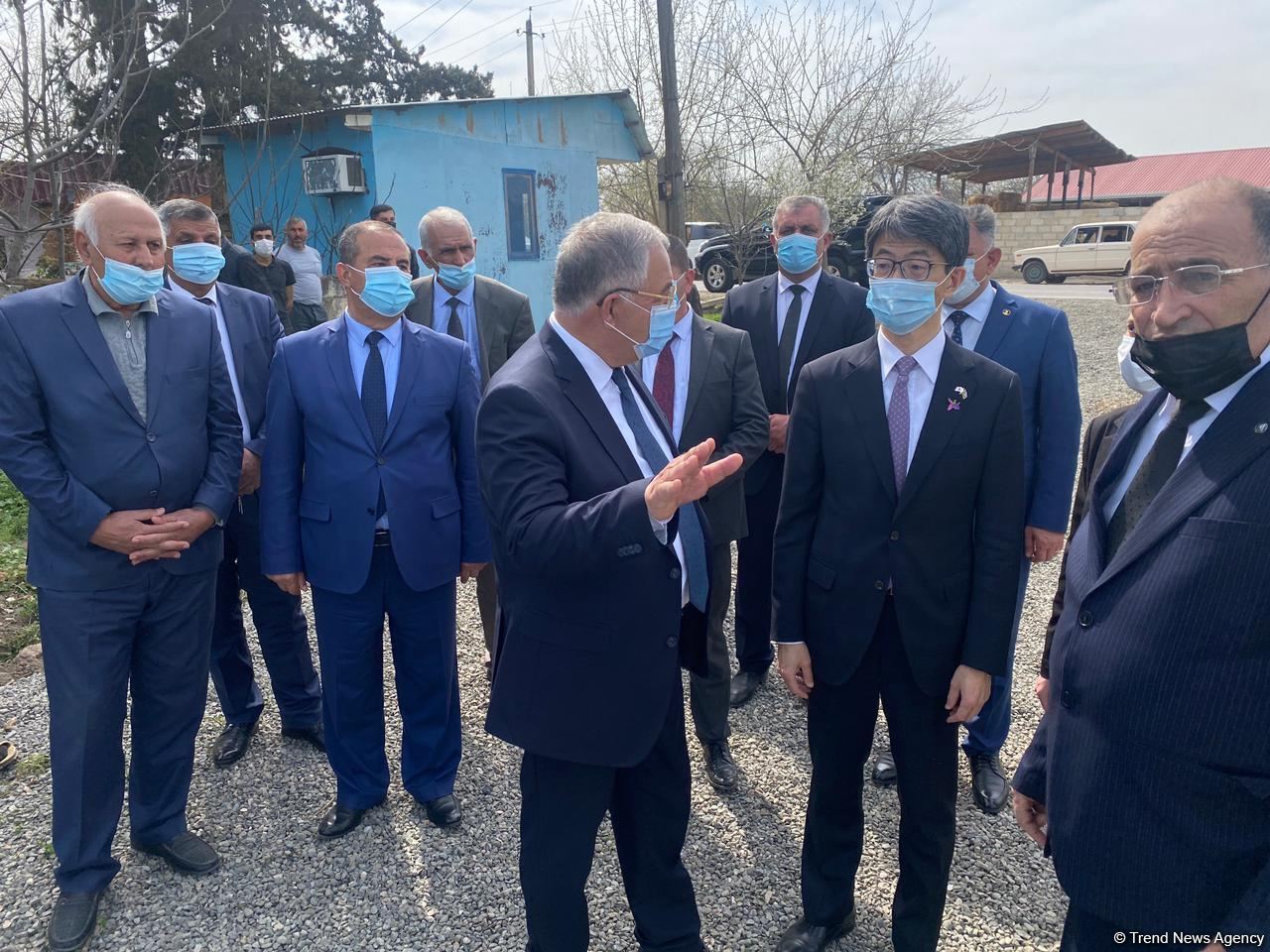 Japan ready to support work in Azerbaijani liberated lands - Ambassador (PHOTO)