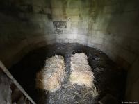 OIC reps visit Imaret cemetery in Azerbaijan's Aghdam district (PHOTO/VIDEO)