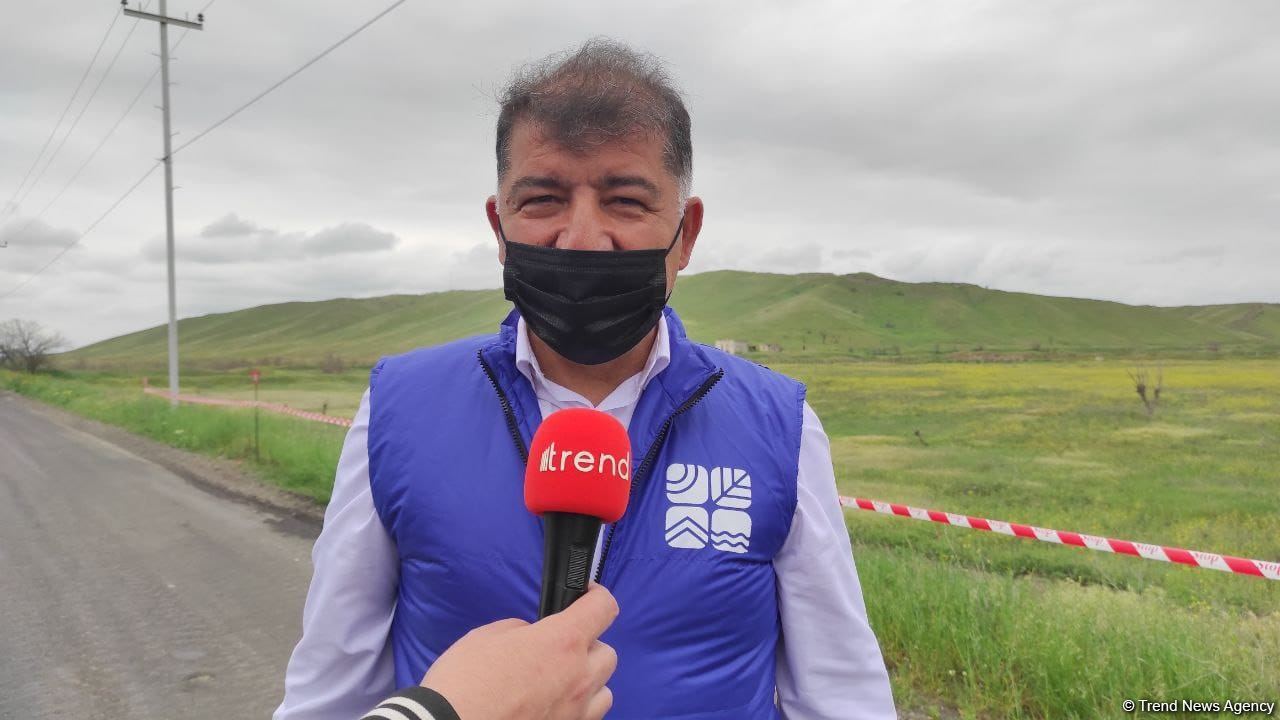 Armenia committed ecological terror during occupation of Azerbaijani lands - Ecology ministry