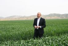 President Ilham Aliyev attends presentation of agropark owned by Agro Dairy LLC in Hajigabul (PHOTO)