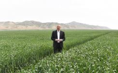 President Ilham Aliyev attends presentation of agropark owned by Agro Dairy LLC in Hajigabul (PHOTO)