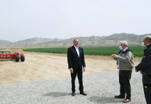 President Ilham Aliyev attends presentation of agropark owned by Agro Dairy LLC in Hajigabul (PHOTO)