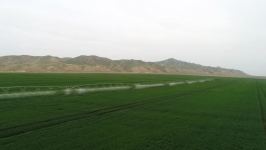 President Ilham Aliyev attends presentation of agropark owned by Agro Dairy LLC in Hajigabul (PHOTO)