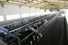 President Ilham Aliyev attends inauguration of Azersun Shamakhi Agropark in Hajigabul (PHOTO)