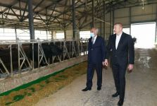 President Ilham Aliyev attends inauguration of Azersun Shamakhi Agropark in Hajigabul (PHOTO)