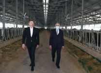 President Ilham Aliyev attends inauguration of Azersun Shamakhi Agropark in Hajigabul (PHOTO)