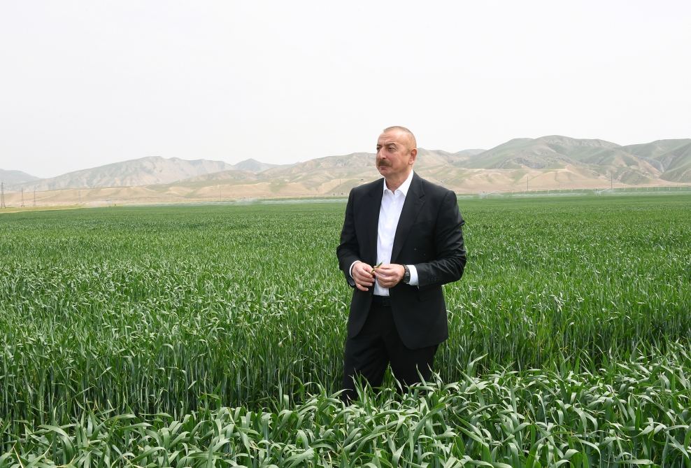 President Ilham Aliyev attends presentation of agropark owned by Agro Dairy LLC in Hajigabul (PHOTO)