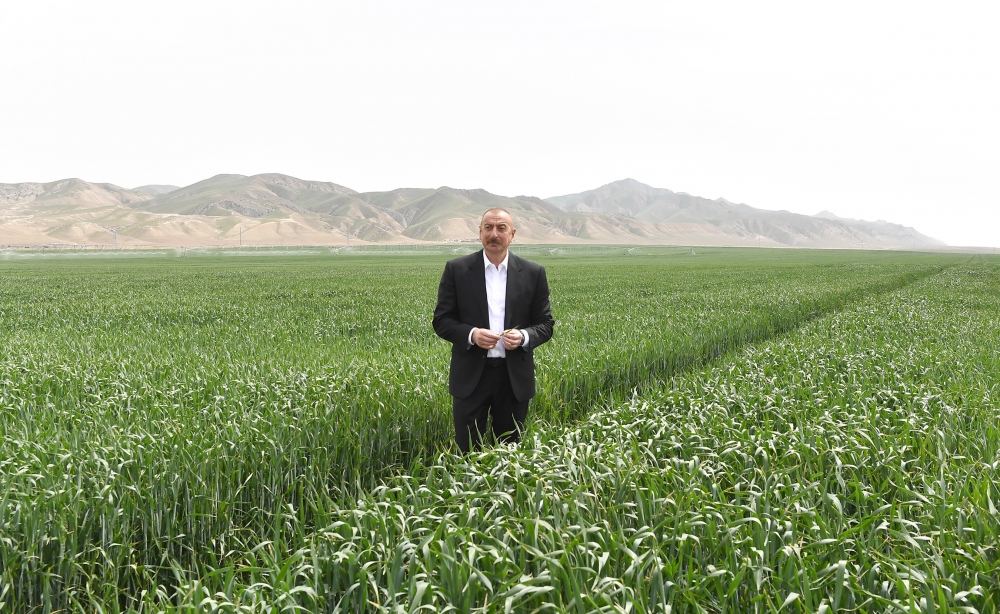 President Ilham Aliyev attends presentation of agropark owned by Agro Dairy LLC in Hajigabul (PHOTO)