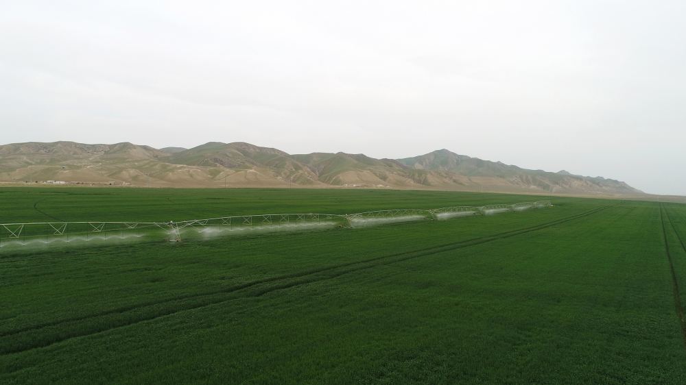 President Ilham Aliyev attends presentation of agropark owned by Agro Dairy LLC in Hajigabul (PHOTO)