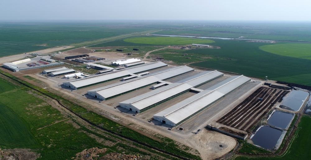 President Ilham Aliyev attends inauguration of Azersun Shamakhi Agropark in Hajigabul (PHOTO)