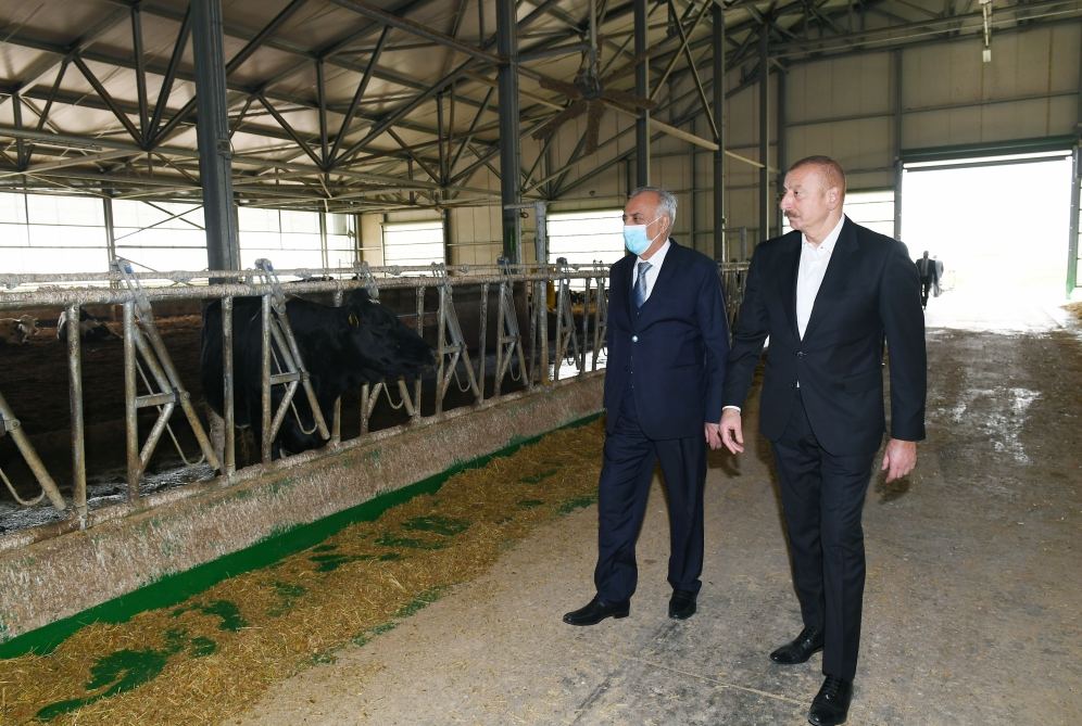 President Ilham Aliyev attends inauguration of Azersun Shamakhi Agropark in Hajigabul (PHOTO)