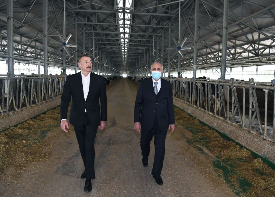 President Ilham Aliyev attends inauguration of Azersun Shamakhi Agropark in Hajigabul (PHOTO)
