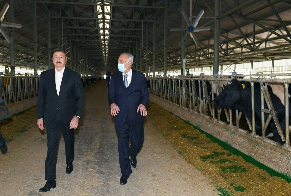 President Ilham Aliyev attends inauguration of Azersun Shamakhi Agropark in Hajigabul (PHOTO)
