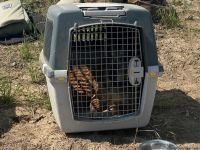 Mine clearance work on Fuzuli-Ahmadbayli highway continues in Azerbaijan (PHOTO)