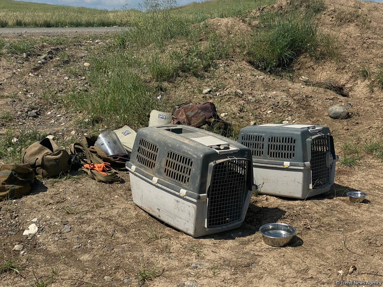 Mine clearance work on Fuzuli-Ahmadbayli highway continues in Azerbaijan (PHOTO)