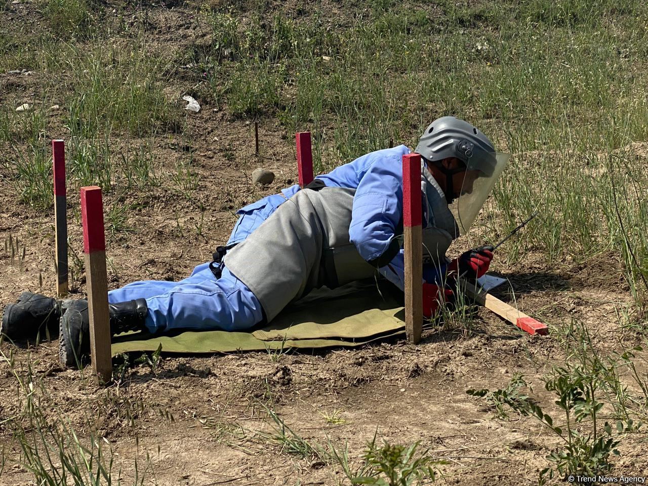 Azerbaijan’s Mine Action Agency releases report on mine-clearing operations