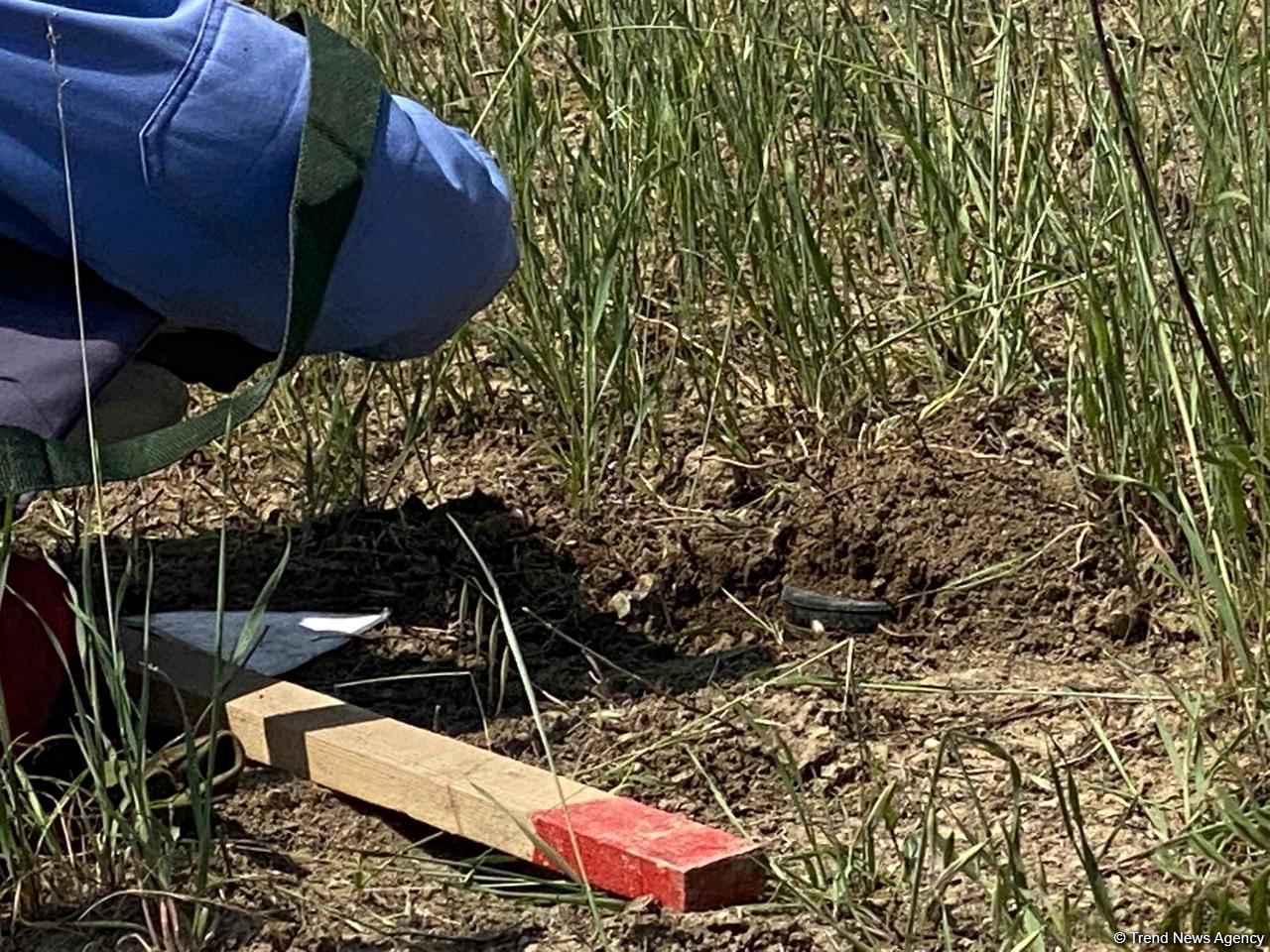 Azerbaijan continues to clear its liberated lands from mines