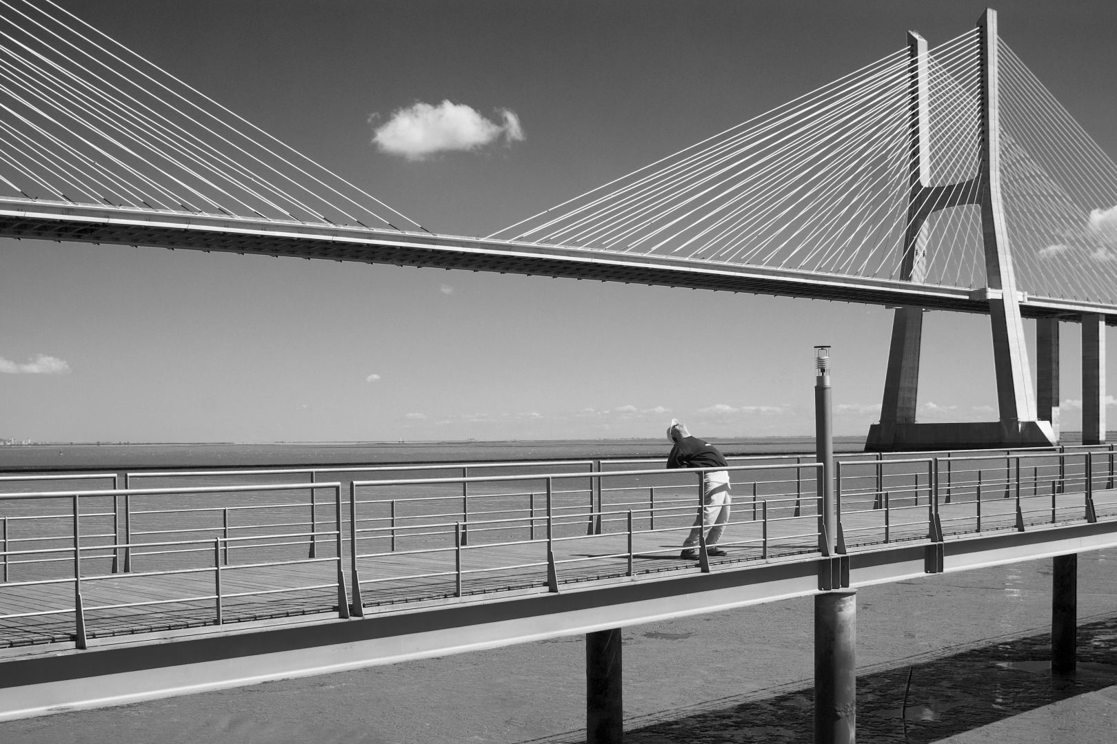YARAT presents Homo Urbanus Europeanus photo exhibition within first int'l Baku Street Photo Festival (PHOTO)
