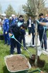 Tree planting held in Baku on eve of World Aerobic Gymnastics Championship (PHOTO)