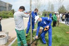 Tree planting held in Baku on eve of World Aerobic Gymnastics Championship (PHOTO)