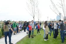 Tree planting held in Baku on eve of World Aerobic Gymnastics Championship (PHOTO)