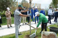 Tree planting held in Baku on eve of World Aerobic Gymnastics Championship (PHOTO)