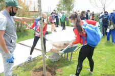 Tree planting held in Baku on eve of World Aerobic Gymnastics Championship (PHOTO)