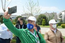 Tree planting held in Baku on eve of World Aerobic Gymnastics Championship (PHOTO)