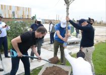 Tree planting held in Baku on eve of World Aerobic Gymnastics Championship (PHOTO)