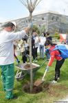 Tree planting held in Baku on eve of World Aerobic Gymnastics Championship (PHOTO)