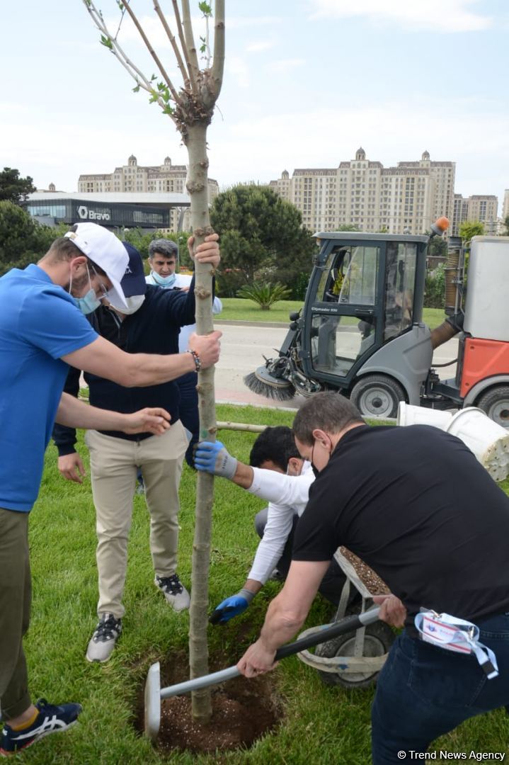 Tree planting held in Baku on eve of World Aerobic Gymnastics Championship (PHOTO)