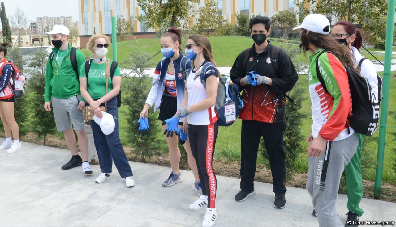 Tree planting held in Baku on eve of World Aerobic Gymnastics Championship (PHOTO)