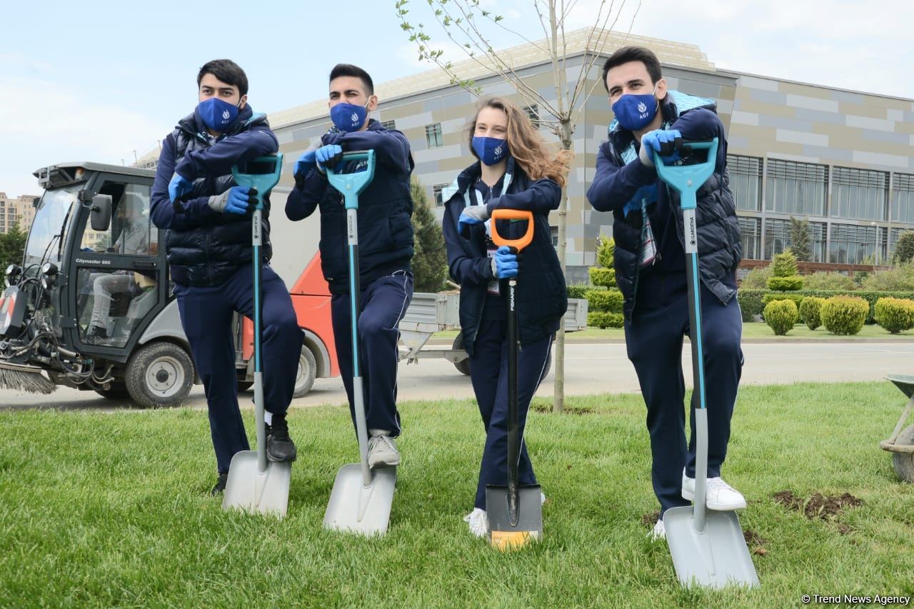 Tree planting held in Baku on eve of World Aerobic Gymnastics Championship (PHOTO)