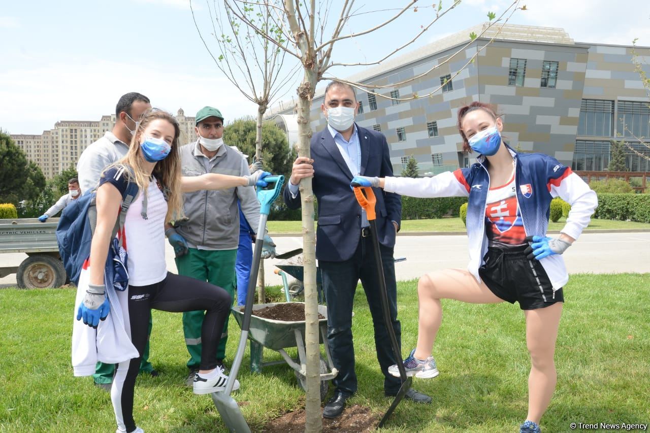 Tree planting held in Baku on eve of World Aerobic Gymnastics Championship (PHOTO)