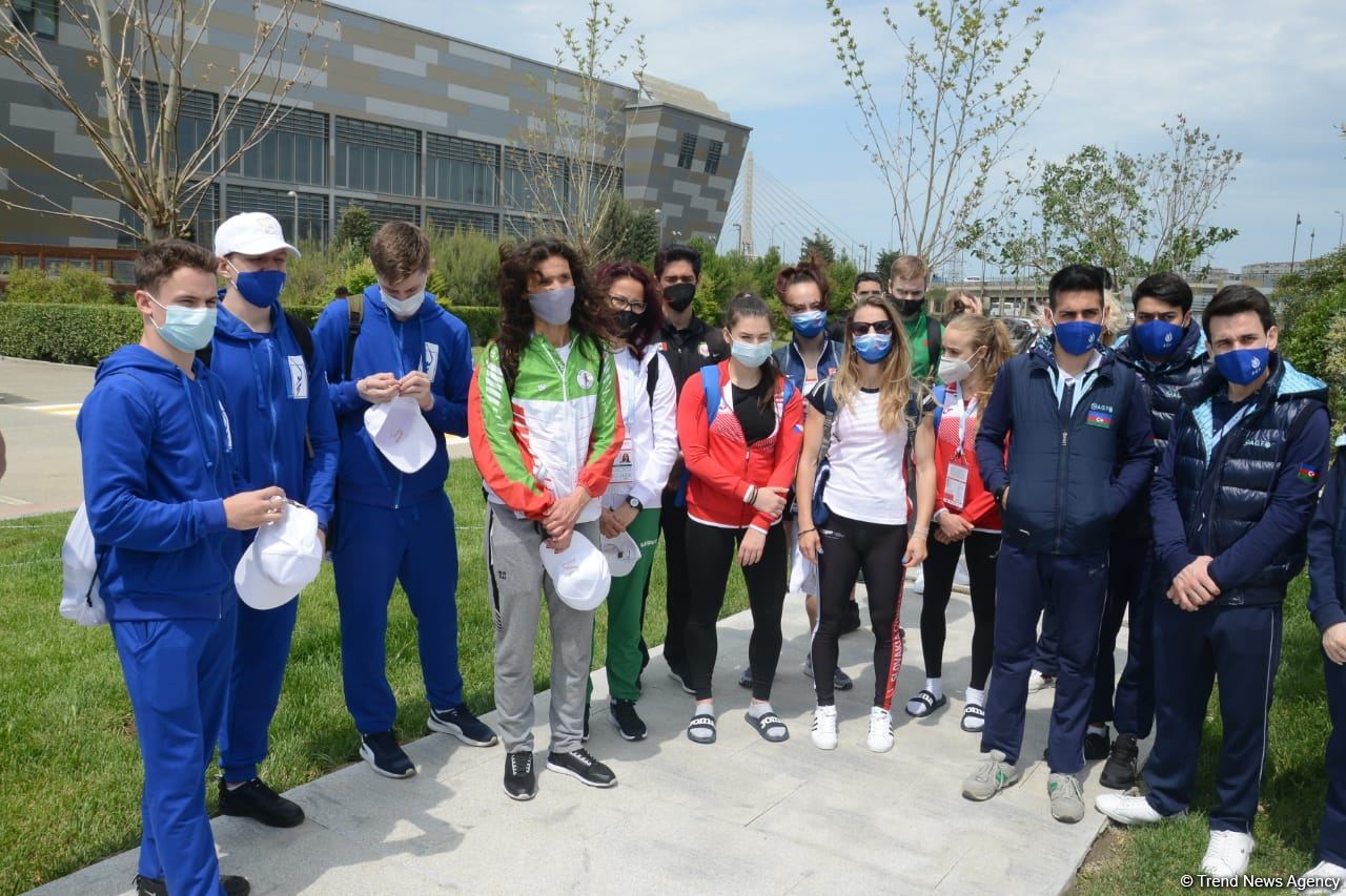 Tree planting held in Baku on eve of World Aerobic Gymnastics Championship (PHOTO)