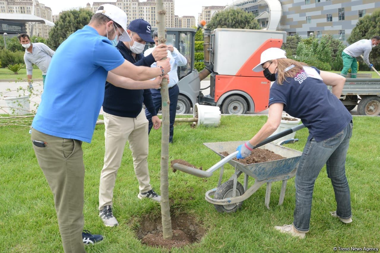 Tree planting held in Baku on eve of World Aerobic Gymnastics Championship (PHOTO)