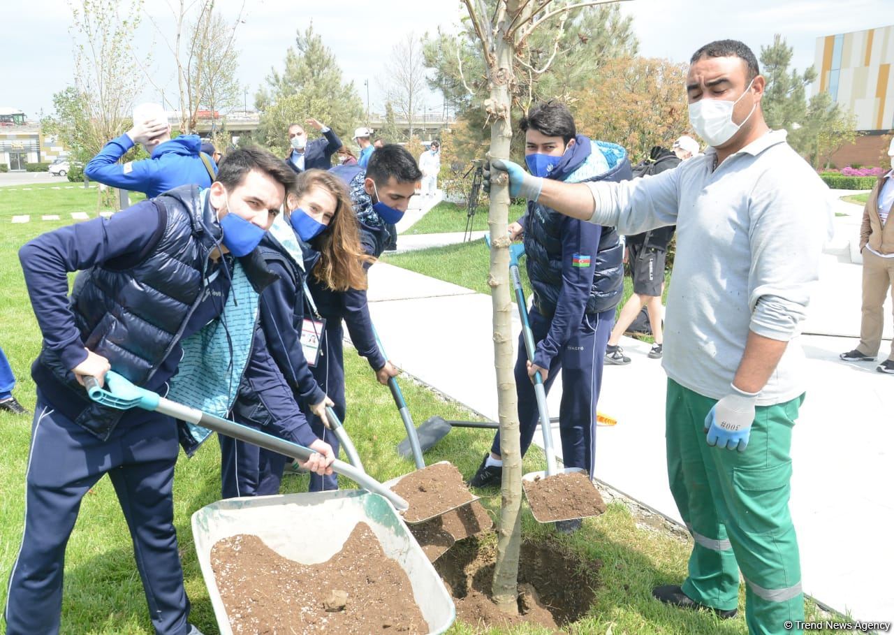 Tree planting held in Baku on eve of World Aerobic Gymnastics Championship (PHOTO)