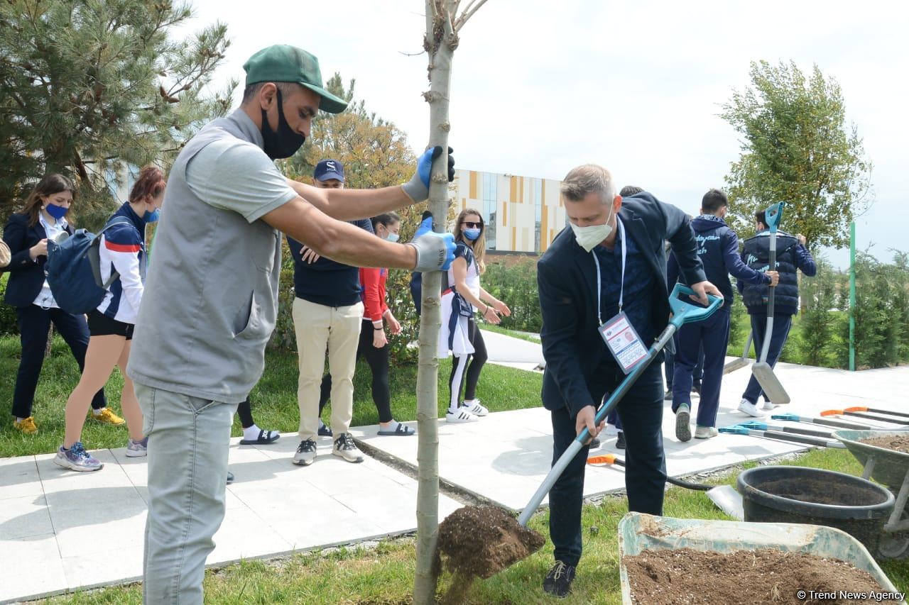 Tree planting held in Baku on eve of World Aerobic Gymnastics Championship (PHOTO)