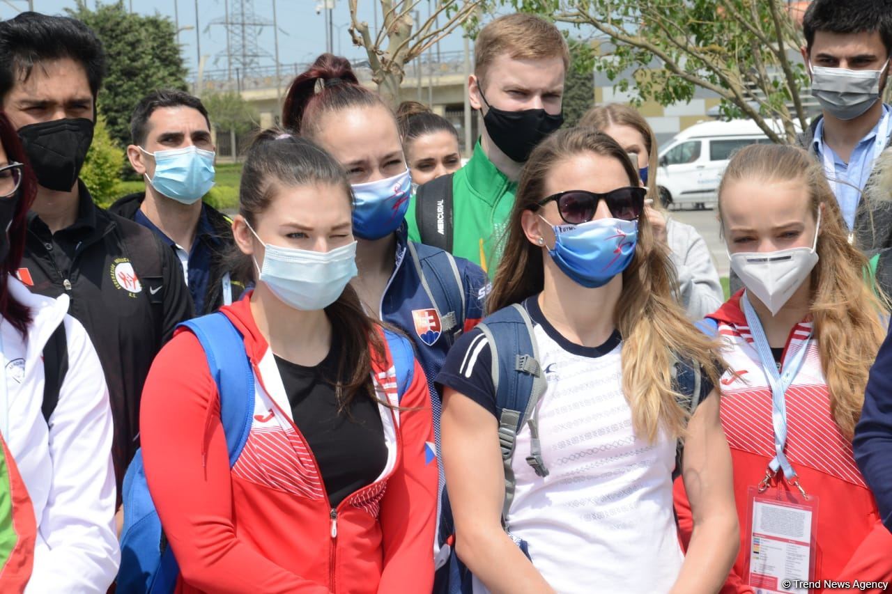 Tree planting held in Baku on eve of World Aerobic Gymnastics Championship (PHOTO)