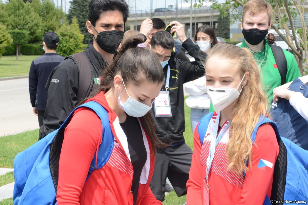 Tree planting held in Baku on eve of World Aerobic Gymnastics Championship (PHOTO)