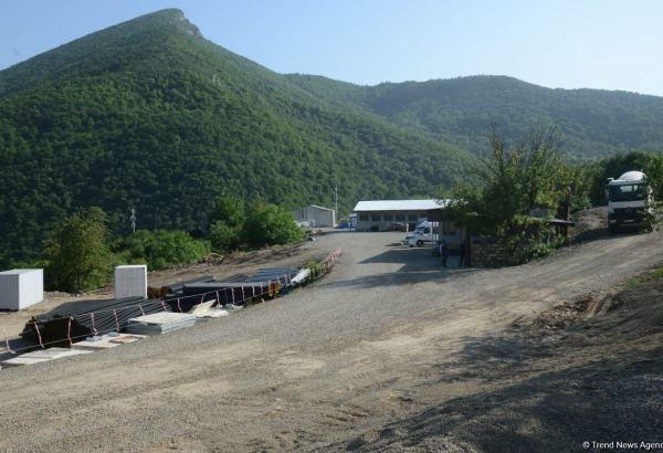 Restoration of Azerbaijan's liberated territories to become driver of non-oil industries