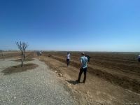 Latest footage of construction work in liberated Aghdam - Trend TV