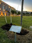 “Reduce, Reuse, Recycle, Respect” exhibition by NARGIS Publishing house is open on the Baku Boulevard (PHOTO/VIDEO)