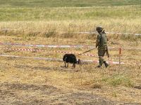 Azerbaijan, Turkish sappers continue mine-clearing operations in liberated lands (PHOTO)